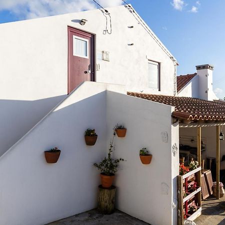 Avó Rosa Guesthouse Sao Joao da Ribeira Exterior foto