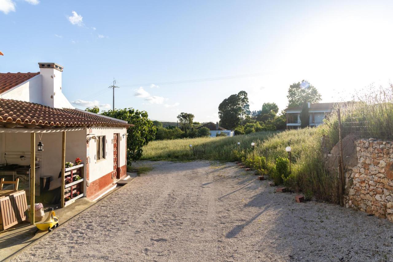 Avó Rosa Guesthouse Sao Joao da Ribeira Exterior foto