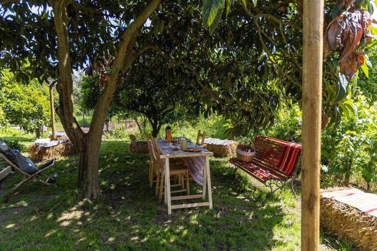 Avó Rosa Guesthouse Sao Joao da Ribeira Exterior foto