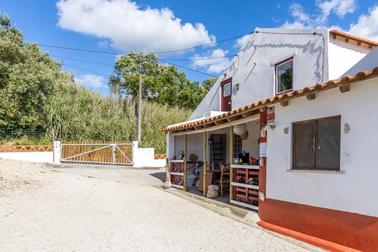 Avó Rosa Guesthouse Sao Joao da Ribeira Exterior foto