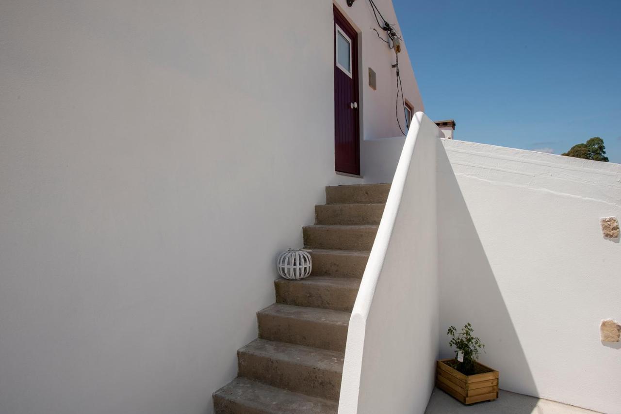 Avó Rosa Guesthouse Sao Joao da Ribeira Exterior foto